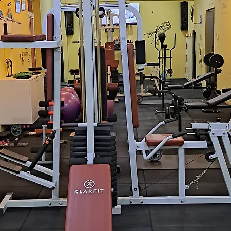 Vila Adrijana & Fitness Studio Wolf Bv * Baska Voda